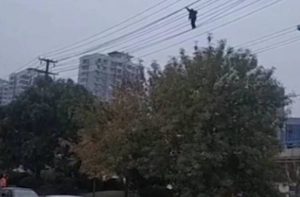 Τι σου κάνει το αλκοόλ! – Μεθυσμένος ανέβηκε σε καλώδια ρεύματος