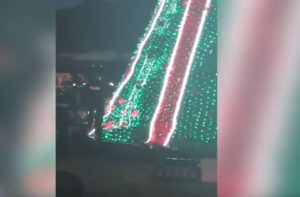 Ανέβηκε στο χριστουγεννιάτικο δέντρο κοντά στον Λευκό Οίκο και δεν κατέβαινε με τίποτα