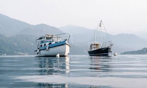 Αν δείτε ΑΥΤΟ στη θάλασσα, μην το πιάσετε – Είναι πολύ επικίνδυνο (Pics)