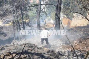Πυρκαγιά στον Καρέα – Δείτε εικόνες από τις φωτιές!
