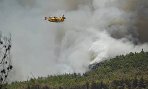 Φωτιά τώρα: Νέα μεγάλη πυρκαγιά στα Μέγαρα, απειλούνται σπίτια…