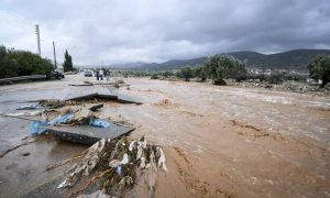 Κακοκαιρία – Μάνδρα: Η εικόνα του λασπωμένου σκυλιού που συγκλονίζει (photos)
