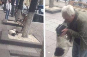 Άντρας βρίσκει το σκύλο του μετά από τρία χρόνια (video)