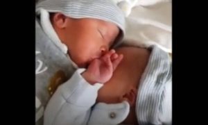 Αυτά τα νεογέννητα δίδυμα θα σας κλέψουν την καρδιά (vid)