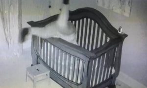 Γιαγιά προσπαθεί να βάλει το μωρό για ύπνο και πέφτει μέσα στην κούνια