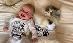 #InternationalCatDay: Μωρά και γατάκια σε απίθανα στιγμιότυπα (pics)