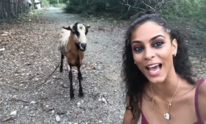 Πήγε να βγάλει selfie με την κατσίκα – Αυτό που έπαθε δεν το περίμενε με τίποτα (video)