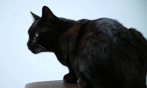 ΣΚΡΑΤΣ: Τύχη και δεύτερη ευκαιρία πάνε μαζί;
