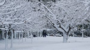 Καιρός: Από την Κυριακή το νέο κύμα κακοκαιρίας (video)