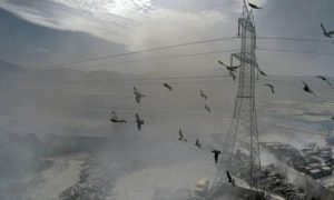 Συναγερμός για το τοξικό νέφος που πνίγει επί πέντε ημέρες την Αττική