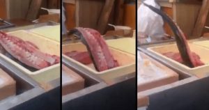 Ψάρι κομμένο στη μέση αρχίζει να σπαρταράει και το θέαμα τρομάζει (video)