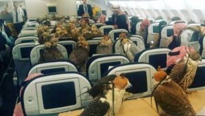 Μόλις δεις αυτό το βίντεο θα καταλάβεις ότι μπορούν να συμβούν τα πάντα σε ένα αεροπλάνο!