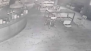 Χτύπησε ο συναγερμός και κοίταξε τι είχε καταγράψει η κάμερα! Αυτό που είδε θα σας προκαλέσει σοκ… (video)