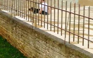 Μπράβο του… Σώζει σκυλιά από πλημμυρισμένη περιοχή (Video)