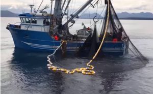 Ψαράδες σηκώνουν δίχτυα και παθαίνουν πλάκα… Χιλιάδες ψάρια στα αμπάρια του πλοίου (Video)