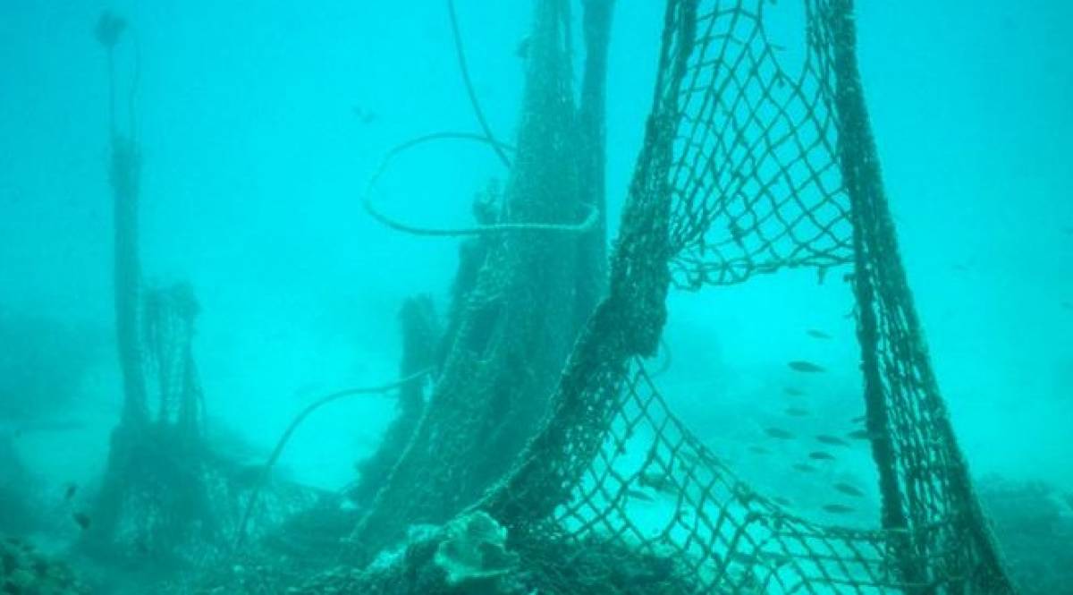 Σήκωσαν τα δίχτυα τους και έπαθαν σοκ! Αυτό που είδαν, δεν θα το ξεχάσουν ποτέ (Video)