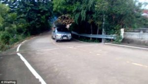 Η καλή μέρα φαίνεται… από τη δουλειά και μόνο (video)