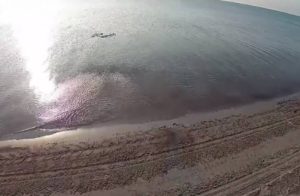 Δείτε τι κάνουν τα drones της επόμενης γενιάς (video)