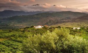 Ανοίγει ο δρόμος για την εκτός σχεδίου δόμηση: Τι προβλέπει απόφαση του ΥΠΕΝ