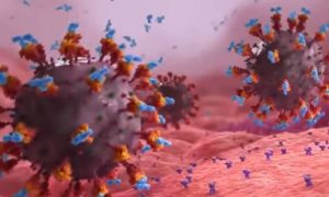Συγκλονιστικό βίντεο: Δείτε πώς τα εμβόλια mRNA  μαθαίνουν τα κύτταρα να «σκοτώσουν» τον κορονοϊό