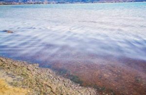 Γιατί κοκκίνισε η θάλασσα του Ναυπλίου; (photos)