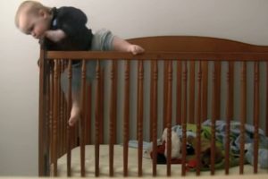 Η μεγάλη απόδραση! Τα δίδυμα που έγιναν viral (video)