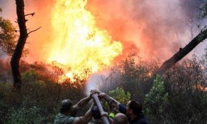 Φωτιά: Μεγάλη πυρκαγιά ΤΩΡΑ στη Ρόδο