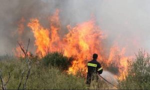 Συναγερμός στην πυροσβεστική για φωτιά στα Μέγαρα