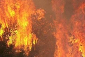 Δραματική η κατάσταση στη Λακωνία-Εκτός ελέγχου η μεγάλη πυρκαγιά (photos&video)