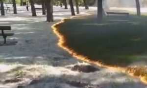 Φωτιά-μυστήριο «σαρώνει» πάρκο και προκαλεί ερωτήματα (video)