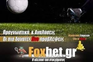 Μια αλεπού… που ξέρει από στοίχημα!