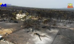 Φωτιά: Εικόνες που σου μαυρίζουν τη ψυχή – Όλεθρος στη Βαρυμπόμπη (vid)