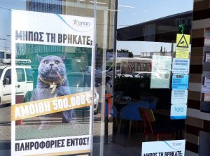 Kυνήγι σε όλη την Ελλάδα για μία γάτα με αμοιβή 500.000 ευρώ… (Photo)