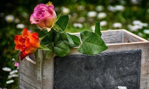 Εορτολόγιο – Πέμπτη 19 Μαΐου: Ποιος γιορτάζει σήμερα