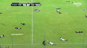 Ποδοσφαιριστές έπεσαν κάτω για να προστατευτούν από τις μέλισσες που μπήκαν στο γήπεδο (vid)