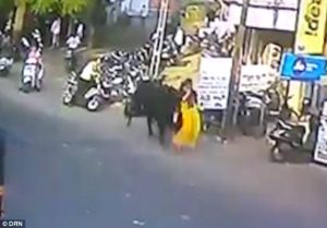 Ταύρος πέταξε γυναίκα στον αέρα και την τραυμάτισε σοβαρά (video)