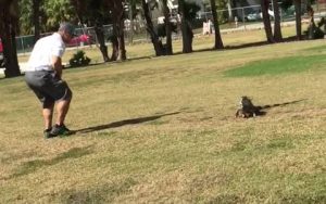 Επαιζαν… ατάραχοι γκολφ, όταν ξαφνικά είδαν μπροστά τους ένα τεράστιο… (video)