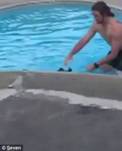 Έσωσε κοάλα που πνιγόταν σε πισίνα (video)