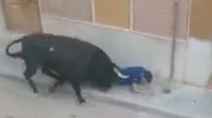 Βίντεο – σοκ: Ταύρος σκοτώνει άνδρα σε υπαίθρια «ταυροδρομία»
