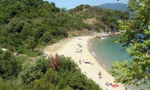 Χαλκιδική: Εμφανίστηκε το μεγαλύτερο υδρόβιο έντομο με δηλητηριώδες δάγκωμα (pics)