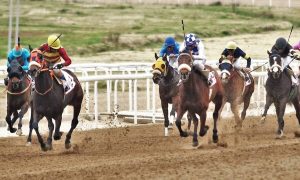 Markopoulo Park: Έξι ελληνικές ιπποδρομίες, τρία ΣΚΟΡ και ενισχυμένο ΓΚΑΝΙΑΝ
