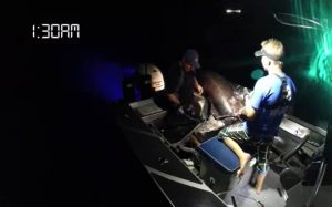 Καρχαρίας επιτίθεται σε βάρκα ψαράδων για τους… φάει τον ξιφία (video)