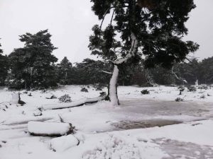 Χαλάει ξανά από τη Δευτέρα ο καιρός! Η πρόγνωση της ΕΜΥ μέχρι και την Πέμπτη…
