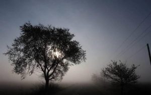 Στην «κατάψυξη» η χώρα – Πολικές θερμοκρασίες από την Τρίτη (17/02)