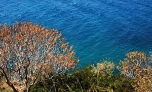 Καιρός: Πού θα σημειωθούν βροχές και καταιγίδες, σήμερα Παρασκευή (13/08)