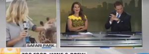 Καμηλοπάρδαλη τρίβεται πάνω σε ρεπόρτερ… (vid)