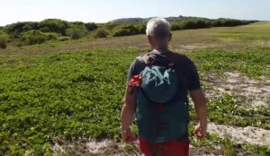 Αυτό συμβαίνει αν διακόψεις δύο χελώνες που ζευγαρώνουν (vid)