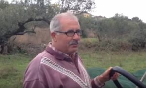 Η πατέντα του Έλληνα αγρότη για να μαζεύει ελιές «ρίχνει» το διαδίκτυο! (video)