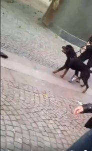 Απίστευτη επίθεση σκύλου σε μικρό παιδί στο δρόμο (video)