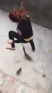 Ήρθε αντιμέτωπη με ποντίκι και έγινε χαμός (video)